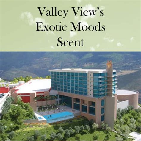 Valley view casino's exotic moods 